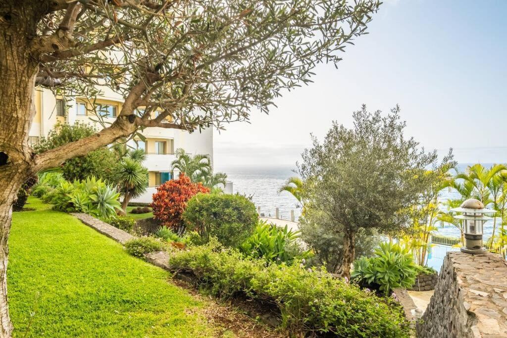 Super Cliff Daire Funchal Dış mekan fotoğraf